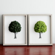 스칸디아모스액자