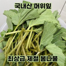 국내산 싱싱한 머위잎 머윗잎 머위나물 400g 1kg 제철 봄나물 생 머구 머위 친환경 머위순 충남 논산 하우스 당일공정 산지직송, 1개