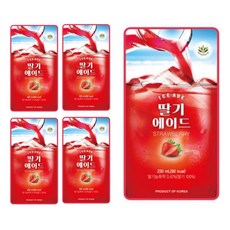 딸기쥬스기계가격