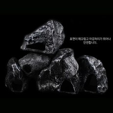초록복어