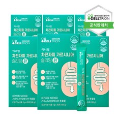 포랩