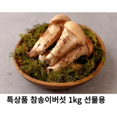 국내산 신선한 참송이버섯 1kg 선물용 국산 특상품 프리미엄 참송이 버섯 선물포장, 1개