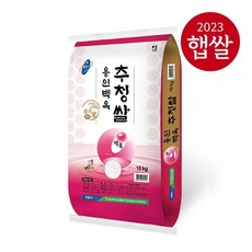 롯데상사 [23년산 햅쌀]용인시농협 백옥 추청쌀 10kg/상등급, 1개