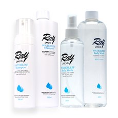 레이펄스 워터리스 샴푸/ 바디워시, 레이펄스 워터리스 바디워시 500ml (리필), 1개