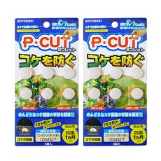 고토부키 P-CUT ONE 수질청정 워터크리너, 2개