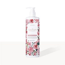 AQUADERMA 아쿠아티링 익스트림 데미지 헤어케어 500ml, 500ml/