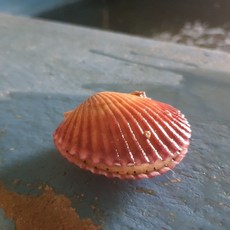 76943c97dac6766d5f3ada2b2038ae4552d66aa730fd310b6a790c8826b4.jpg