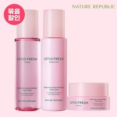 네이처리퍼블릭노세범파우더
