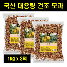 생모과