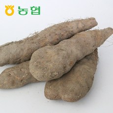50ad2f805ebacf9220703aa2f7299720455f288e9aee91a07f05336c9236.JPG