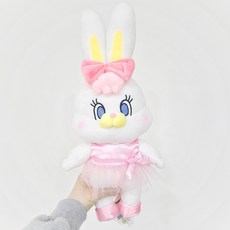 리코광각컨버전