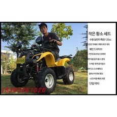 ATV 사륜 4륜 산악 비치 해변 오프로드 바이크 오토바이 가솔린 전기 전동 구동 자동 변속기 성인 변속기, 리틀불패키지1