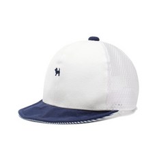 블루독베이비호박