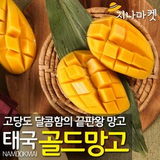 베트남그린망고