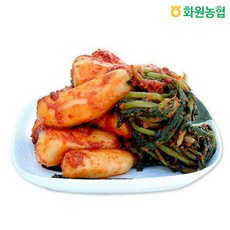 [화원농협]이맑은김치 총각김치 5kg, 1봉