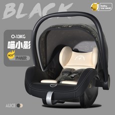 바구니카시트리안솔로