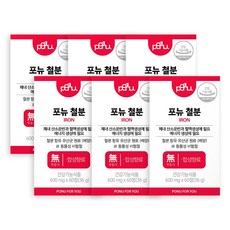 포뉴 철분 600mg 비헴철 2개월분