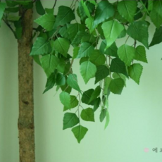 인테리어소품용학