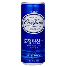 일화 초정탄산수 250ml, 30개 안양