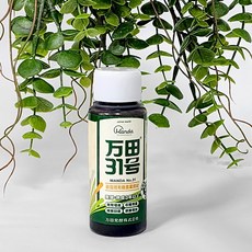 만다 31호 50ml 식물영양제 마이플랜트