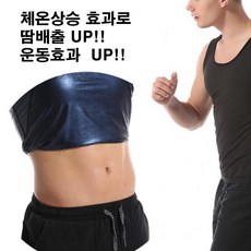 체온업다이어트