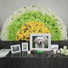 348704d6e8bd054271c09727c08f5547d79f22b82bef8e3178de134b050d.jpg