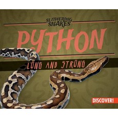 (영문도서) Python: Long and Strong Library Binding, Enslow Publishing, English, 9781978517851