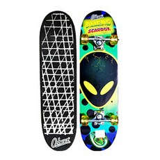 스케이트보드원데이