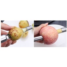 복숭아씨제거