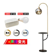 까사미아플로어램프