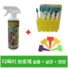 다육이무름