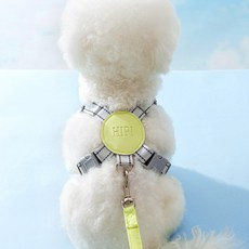 통기성 좋은 X형 강아지 하네스 안전한 야광 산책 가슴줄 소중대, 1개