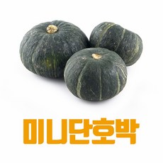 [산지직송] 국내산 미니단호박 보우짱 달콤 미니밤호박, 1박스, 미니단호박 2kg