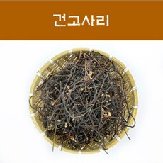 중국산건고사리