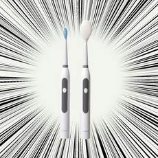 생활백서음파전동칫솔