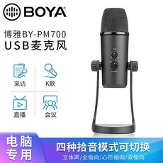 순풍 박아 BYPM700 USB 녹음함 회의 라이브 스테레오, BY-PM700회의 녹음함 마이크 정부측 표기함