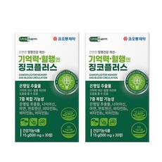 기억력 혈행엔 징코플러스러스, 30정, 2개