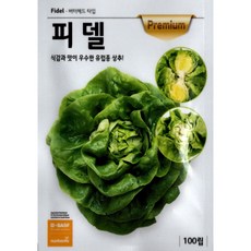 미니컵로메인