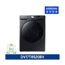 [삼성전자] [E][블랙 17KG] 비스포크 그랑데 AI 건조기 17KG [DV17T8520BV]