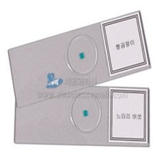 빵곰팡이