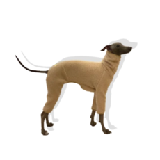 291566030e3af822147fc2d62f47b15e63c91d371d8bc5f5a19764b0f53f.png