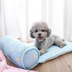 푹신 시원 반려동물 쿨 매트 귀여운 디자인 사계절, 아보카도/S/WC892B6
