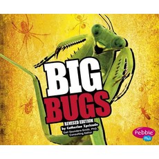 Big Bugs Paperback, Capstone Press