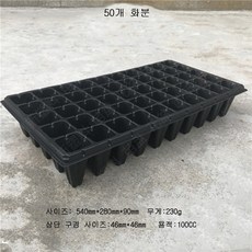 이우미 모종트레이 모종재배 플라스틱 씨앗화분 육묘트레이 모종판 씨앗포트 분갈이화분MJ481, Type-B