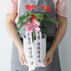 오늘식물
