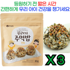 무농약 채소와 한우를 넣어 만든 후리카케 한살림 꾸러기 주먹밥, 3개, 30g, 한우