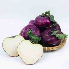 아삭아삭 제주직송 콜라비, 5kg, 1박스, 5kg(특)