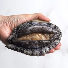 완도사랑 싱싱할 활 전복 1kg, 1개, (중전복) 13-14미 (손질칼 증정), 1kg