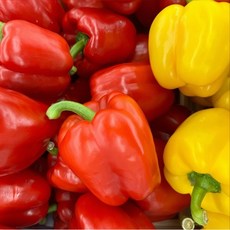 못난이파프리카 1kg 2kg 5kg 빨강 노랑 빨간 노란 파프리카 누빌, 1박스, 빨간파프리카 5kg
