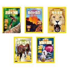 곤충화석